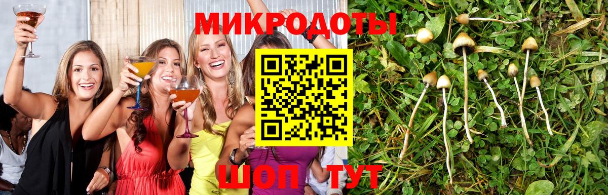 Псилоцибиновые грибы мицелий Славянск-на-Кубани